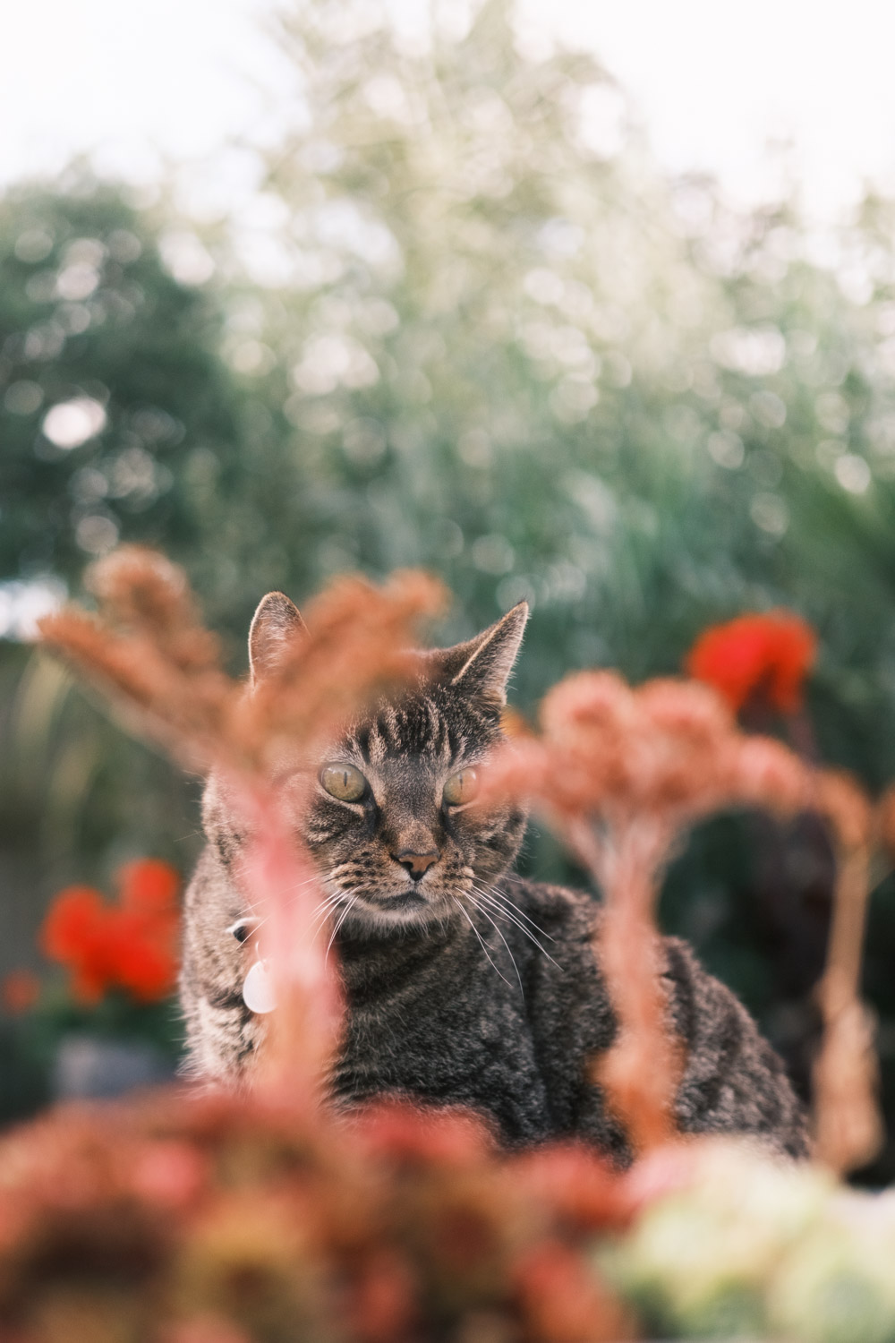 Photography by Artist & Illustrator James Martin