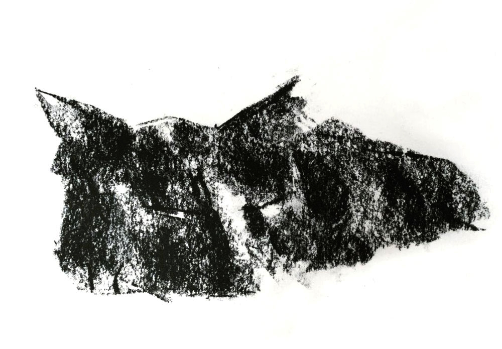 Misc Drawing by Artist & Illustrator James Martin