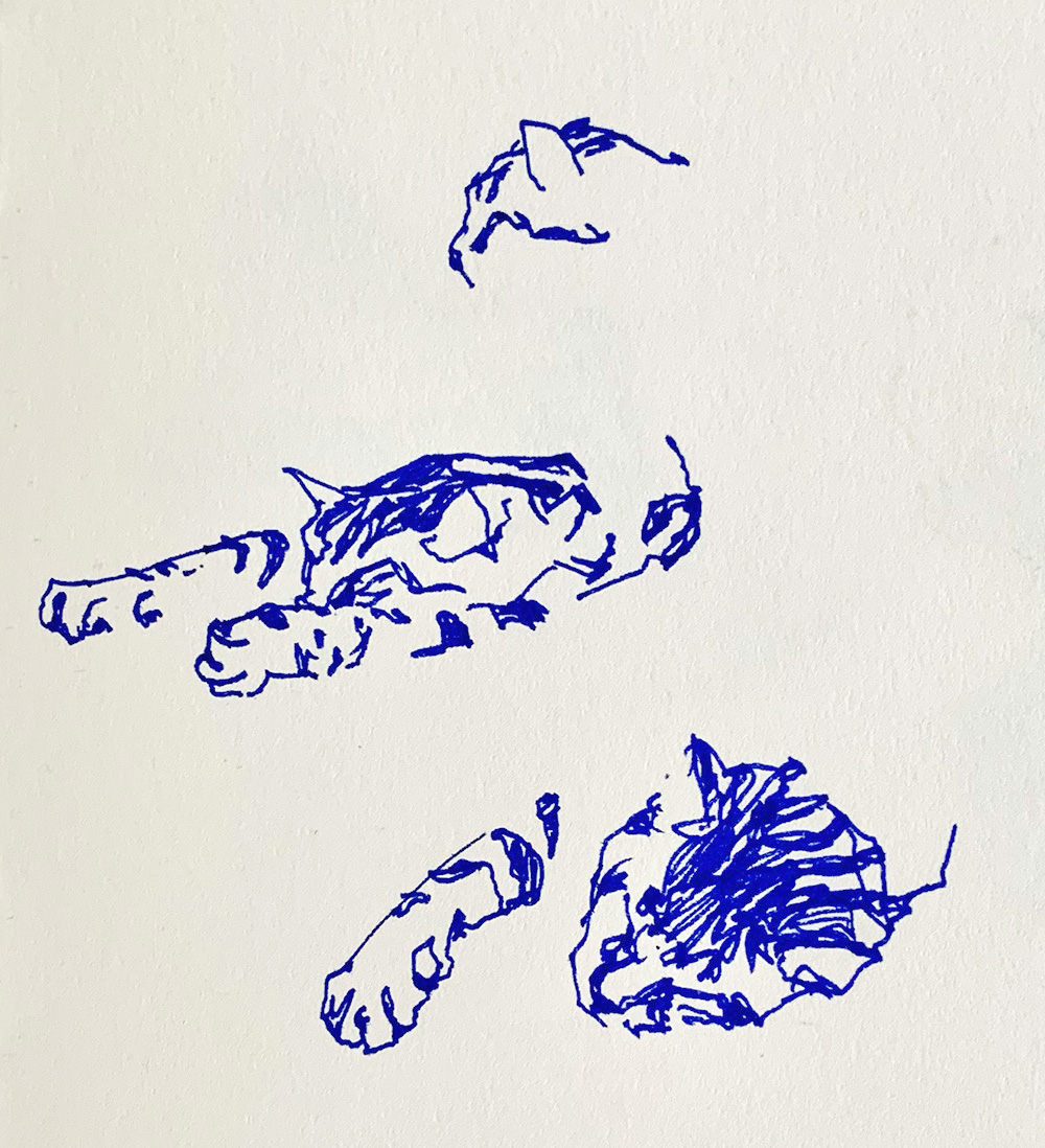 Misc Drawing by Artist & Illustrator James Martin