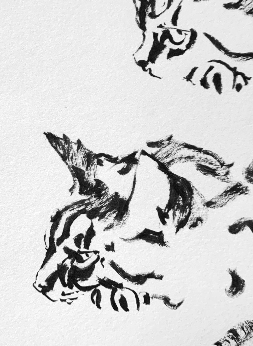 Misc Drawing by Artist & Illustrator James Martin