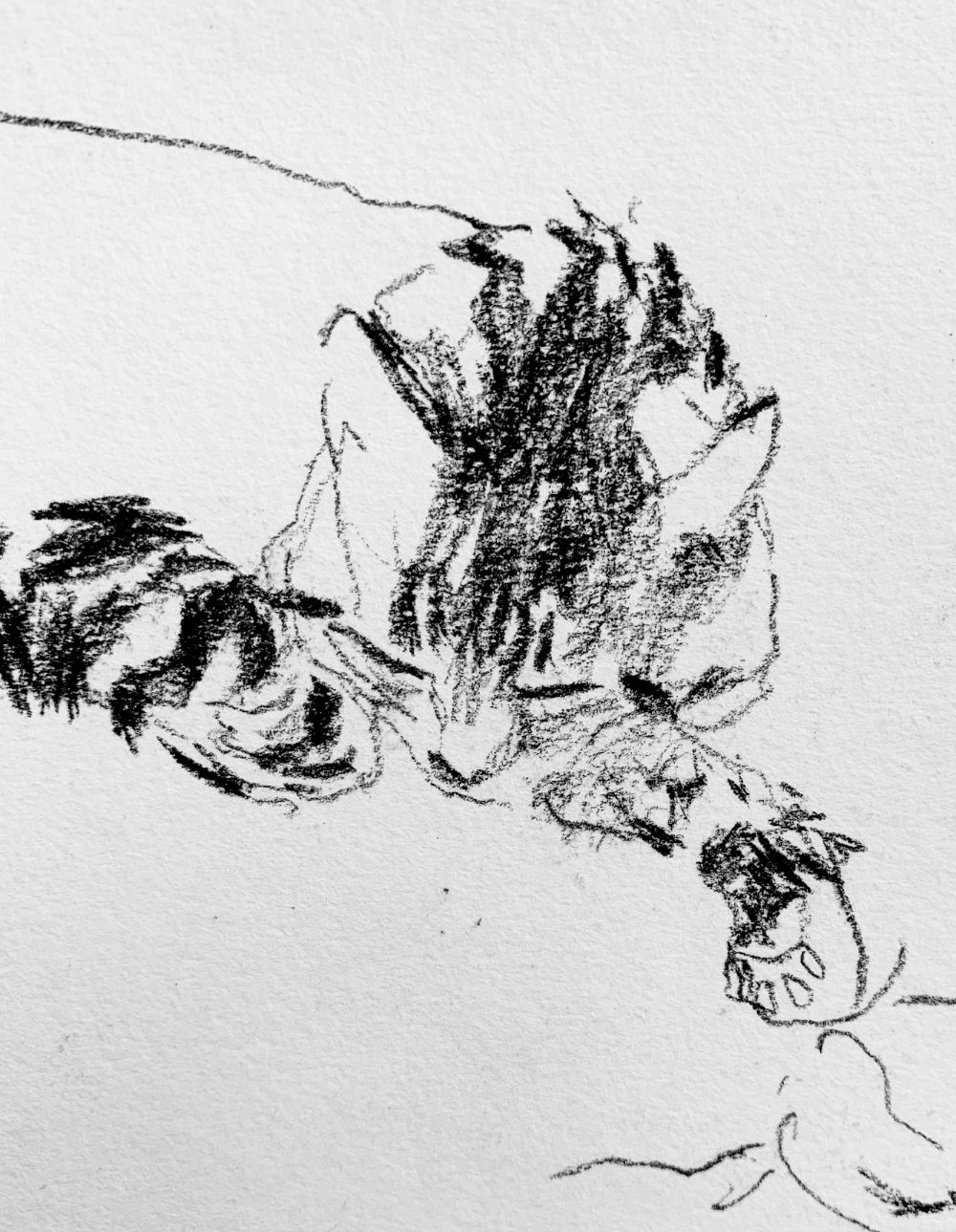 Misc Drawing by Artist & Illustrator James Martin