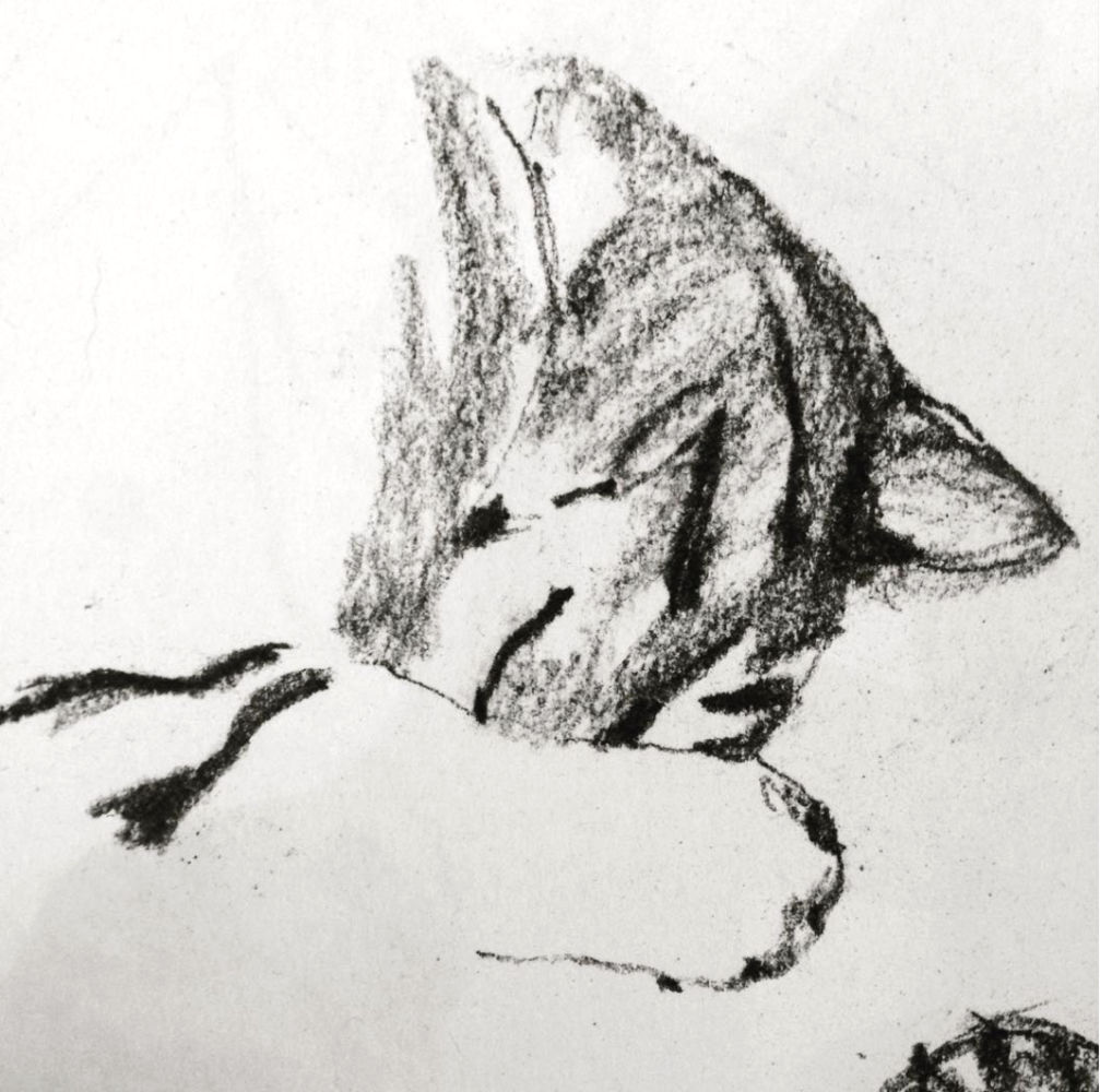 Misc Drawing by Artist & Illustrator James Martin