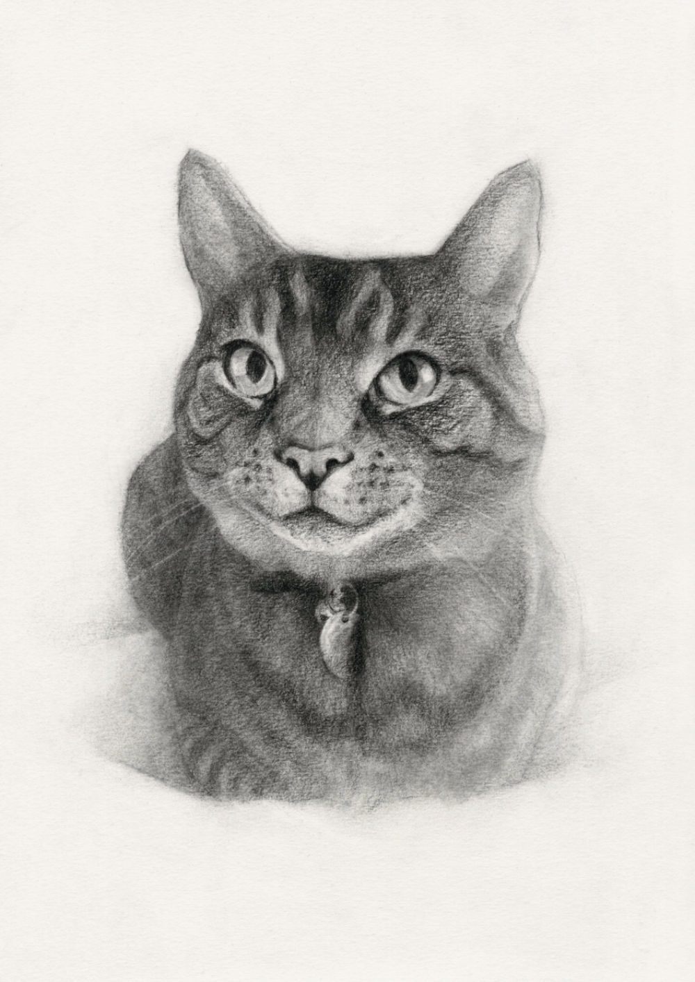 Cat Drawing in Charcoal on Paper, by Artist & Illustrator James Martin